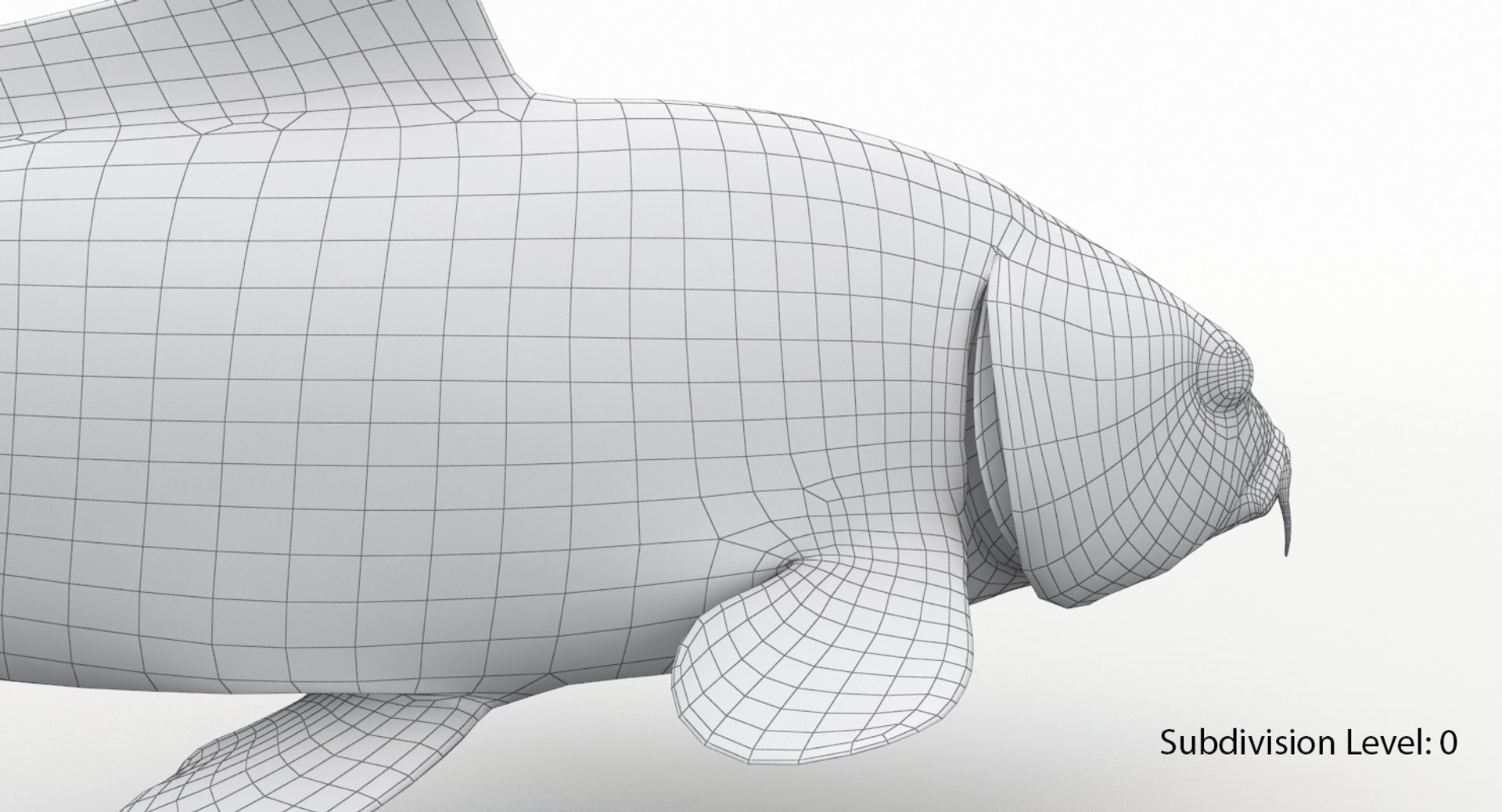 3D model koi fish animation https://p.turbosquid.com/ts-thumb/us/xKS5Da/RKes1yfH/k7/jpg/1558523302/1920x1080/fit_q87/4a015607695a1bedbb96695cb990d8dce2d1872d/k7.jpg