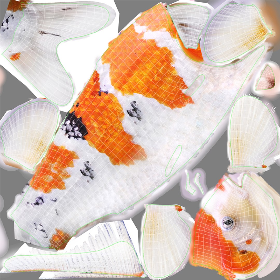 3D model koi fish animation https://p.turbosquid.com/ts-thumb/us/xKS5Da/Xypu9rVK/t1/jpg/1558523302/1920x1080/fit_q87/ecb6bf2277623f2607b0df7e54d7485c12596a83/t1.jpg
