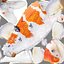 Koi Fish 1 (Animé)