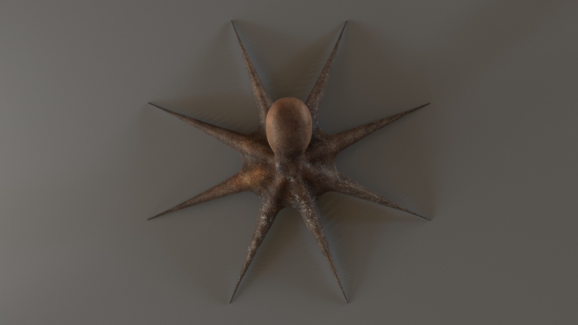 Tiny OCTOPUS 3D - TurboSquid 1882319
