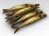 mackerel