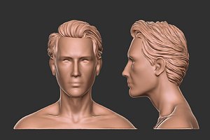 3D hair 30 model
