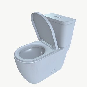 Western Toilet