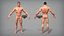 Cartoon male character Stan game ready