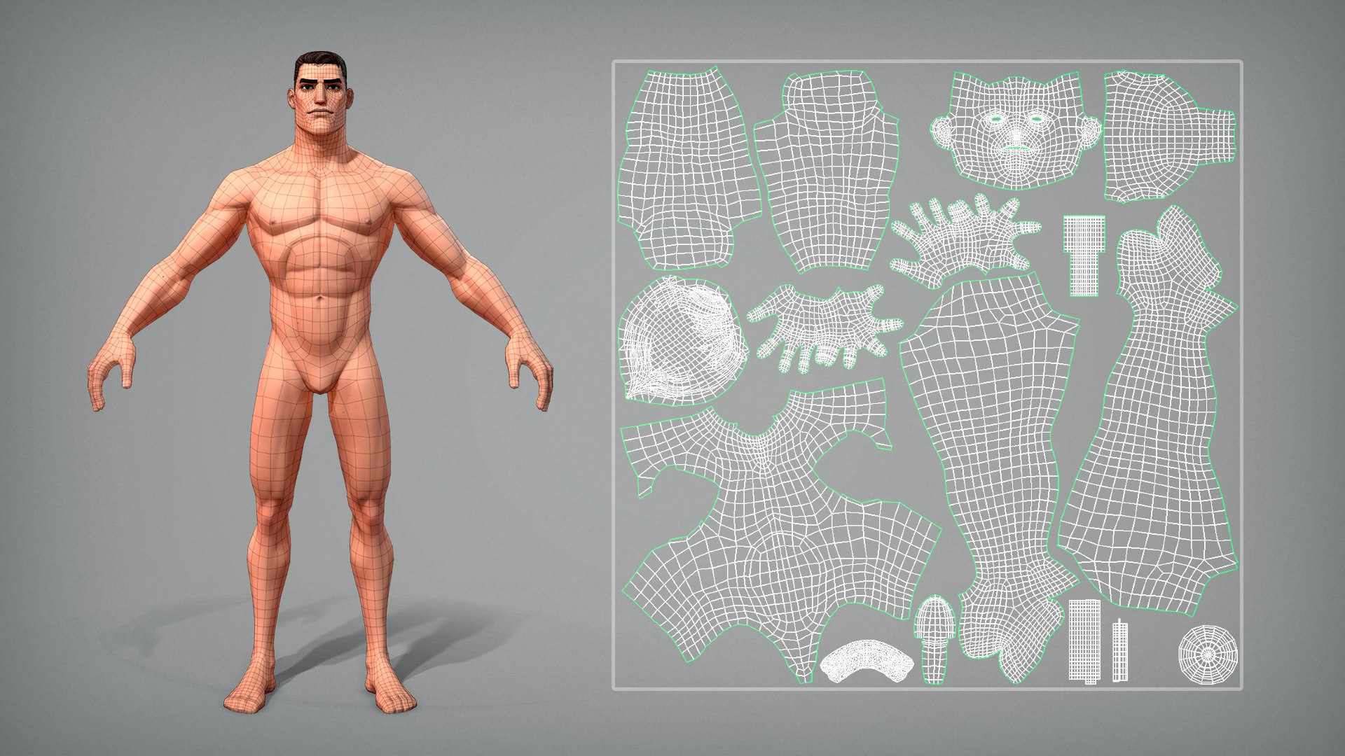 3D model Cartoon male character Stan game ready https://p.turbosquid.com/ts-thumb/ut/agj3qC/M1/uvwbody/png/1692794522/1920x1080/fit_q87/938d96a70a4c69354adea6a7fb8104ccb2ee74c3/uvwbody.jpg