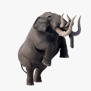 Elephant Animated 3D model