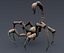 Insectoid Monster