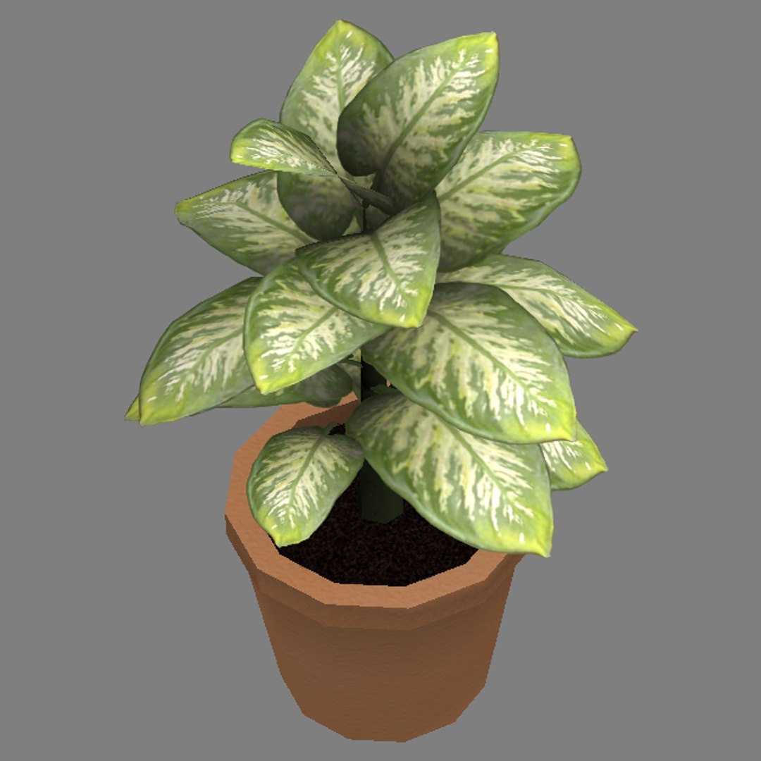 小盆栽植物3d模型