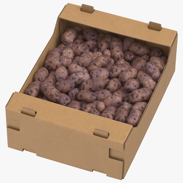 cardboard display box 03 3D model