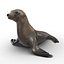 3D marine mammals rigged 4 model