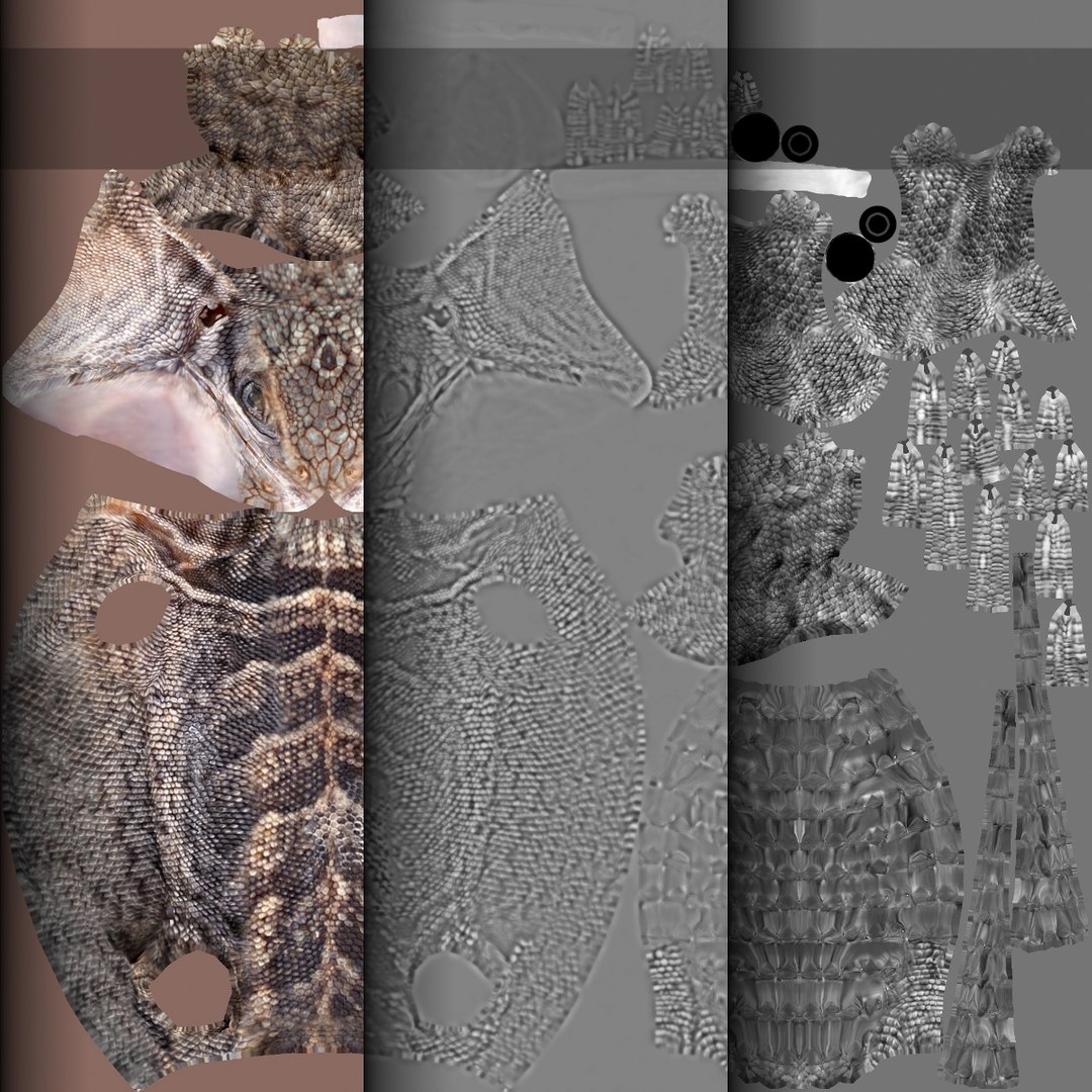 lizard cordylus tropidosternum 3d model https://p.turbosquid.com/ts-thumb/uv/DpN5Jr/7T/2_2_lizard2_maps1/jpg/1686205907/1920x1080/fit_q87/3db54d90bbcfc44a36128169e840eb36f957067e/2_2_lizard2_maps1.jpg