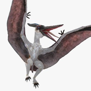 3D pterosaur pteranodon white fur model