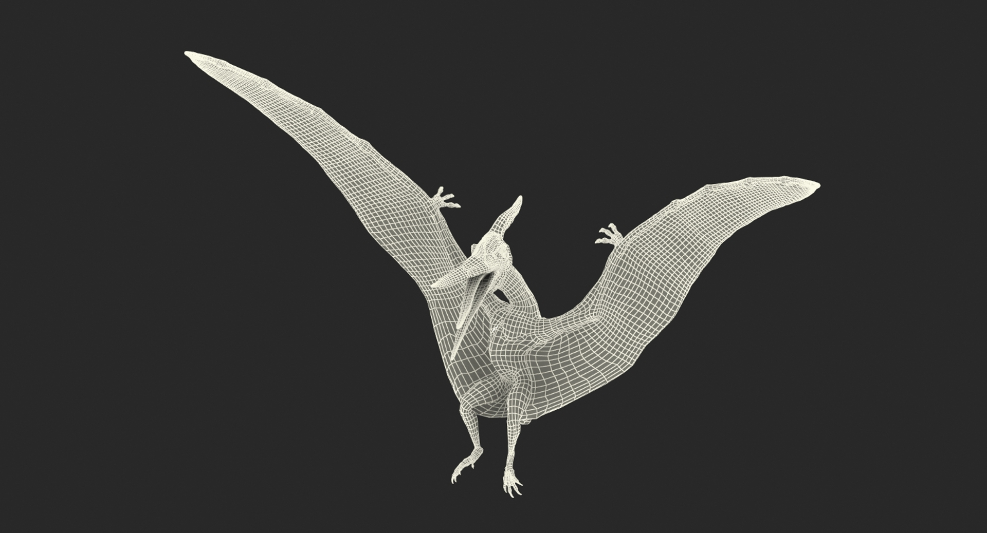 Pterosaur Pteranodon White with Fur PNG Images & PSDs for Download