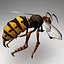3ds max rigged wasp animations