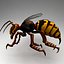 3ds max rigged wasp animations