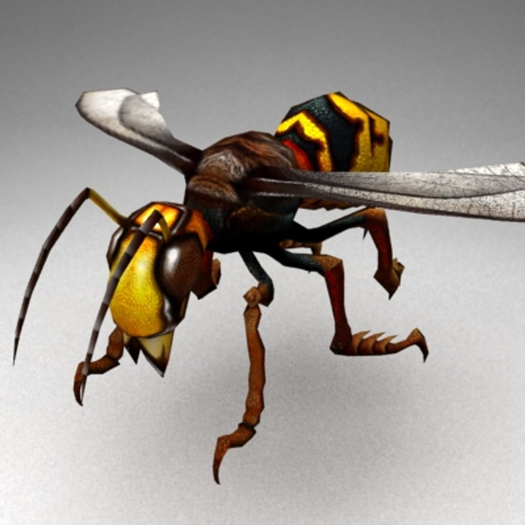 3ds max rigged wasp animations https://p.turbosquid.com/ts-thumb/uv/NsxBIX/uVtqTerM/prev1/jpg/1253155777/1920x1080/fit_q87/b77027c6ba2e06e1eac22423a28450c9e6cc9942/prev1.jpg