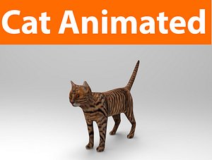 cat animated(1)