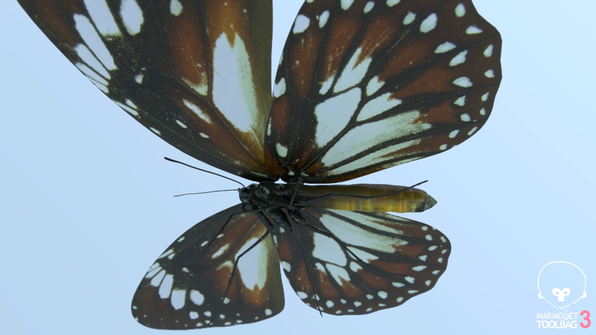 Malay Tiger Butterfly model https://p.turbosquid.com/ts-thumb/uv/qkcdtK/Ck/screenshot594/png/1639984179/1920x1080/fit_q87/fa2934a69244cf9c6f580a287725e117b5992908/screenshot594.jpg