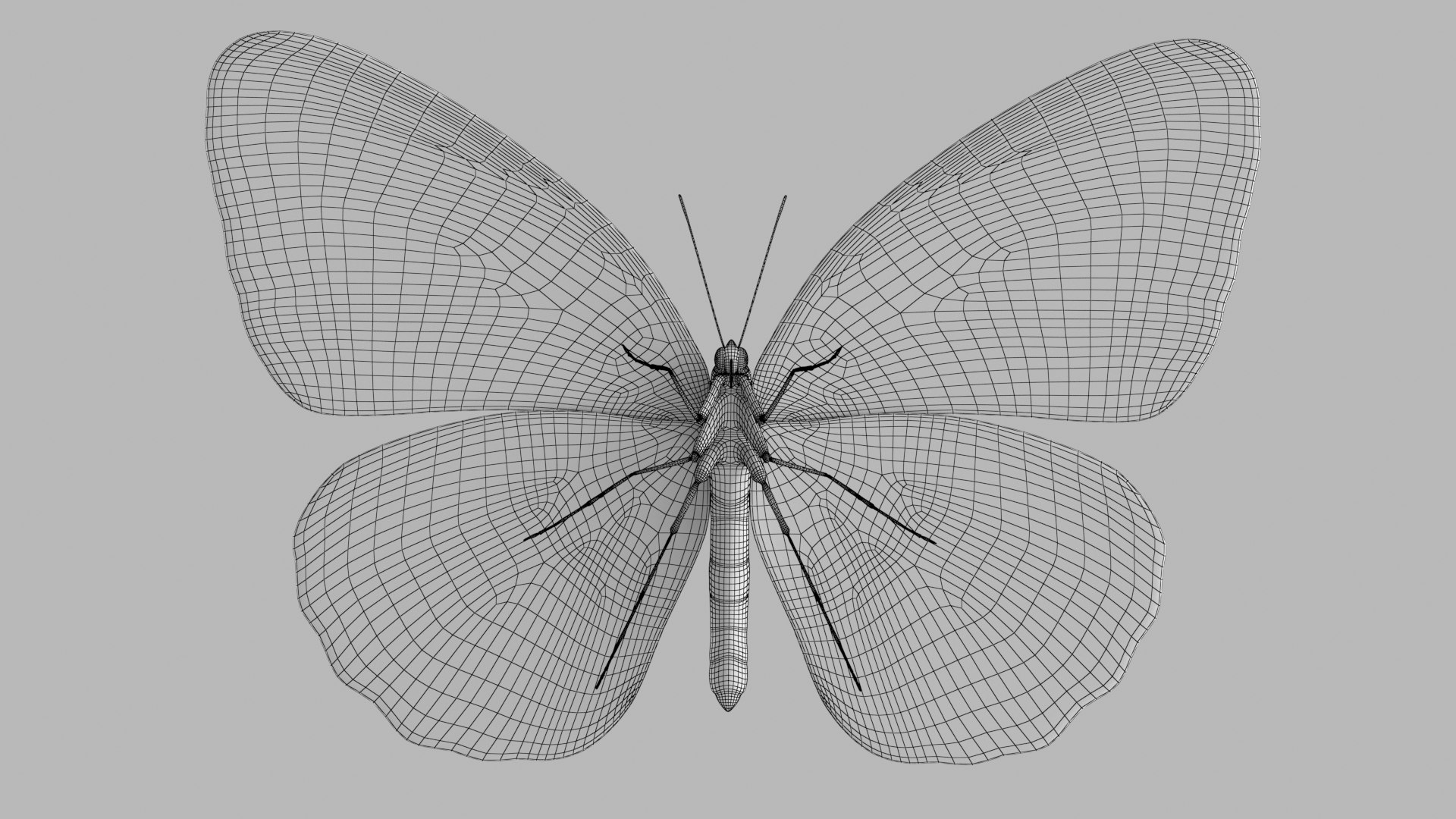 Malay Tiger Butterfly model https://p.turbosquid.com/ts-thumb/uv/qkcdtK/OI/malay_r3w/png/1639984184/1920x1080/fit_q87/620e54022d2d3460da11ec74a4205372ab0a901f/malay_r3w.jpg
