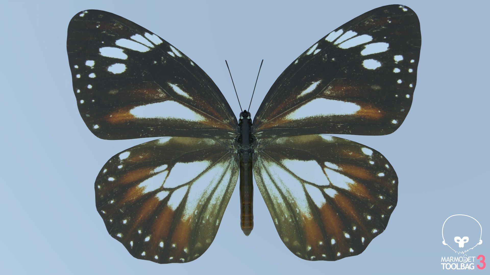 Malay Tiger Butterfly model https://p.turbosquid.com/ts-thumb/uv/qkcdtK/V1/screenshot593/png/1639984181/1920x1080/fit_q87/d1b4a992e805fb277b049ca2b4c5ad0d358ce0a3/screenshot593.jpg