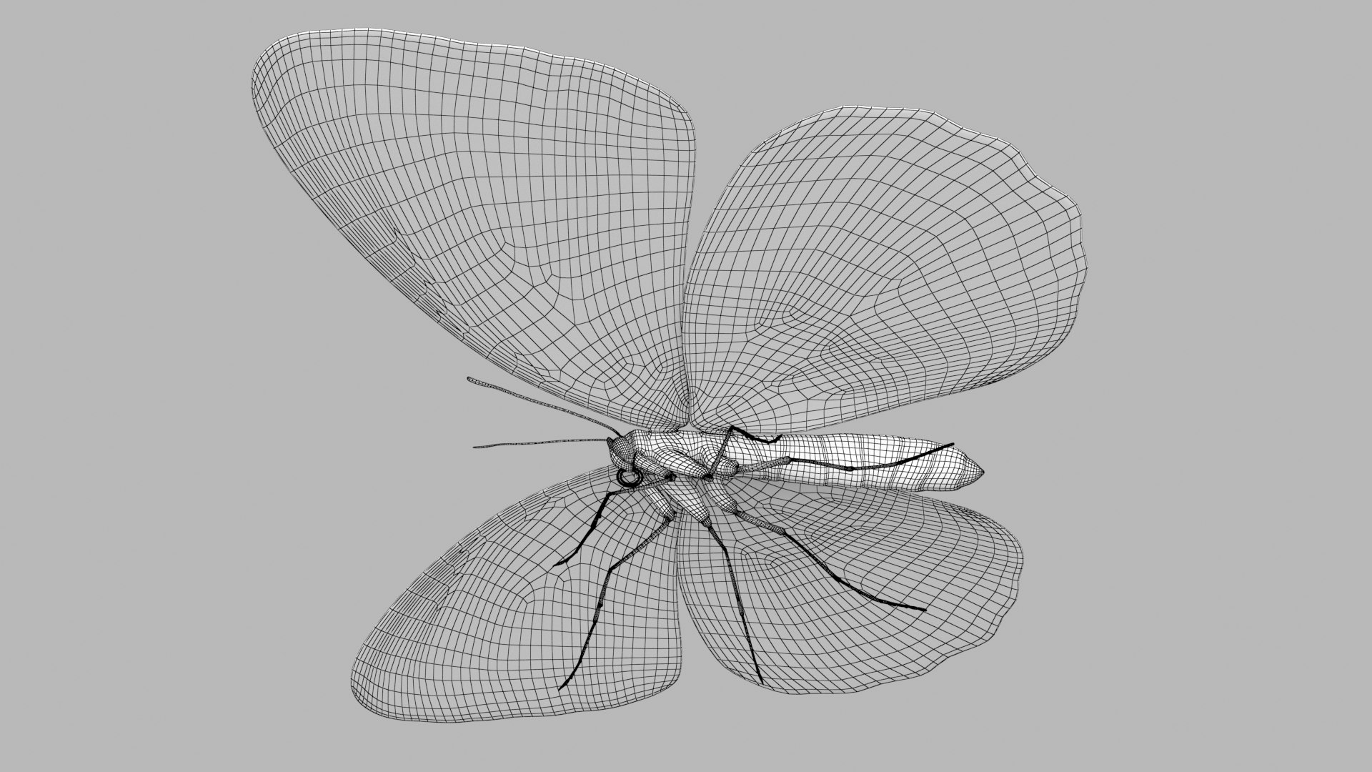 Malay Tiger Butterfly model https://p.turbosquid.com/ts-thumb/uv/qkcdtK/zg/malay_r5w/png/1639984184/1920x1080/fit_q87/bb7a145e034e00e7a2d8808c79ba50d52c109a4b/malay_r5w.jpg