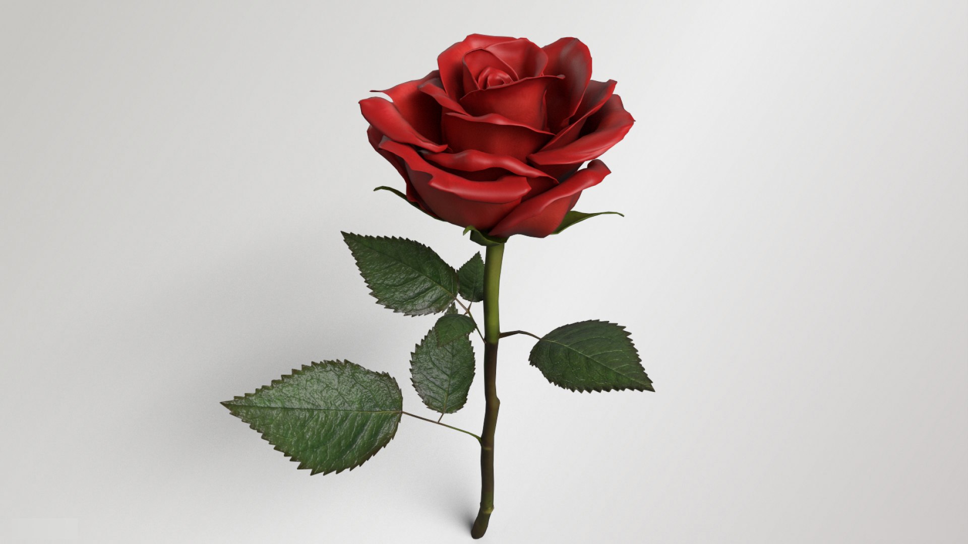 3D Single Red Rose - TurboSquid 2276728