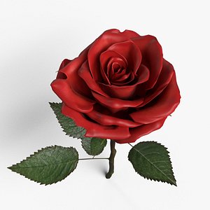 3D Single Red Rose