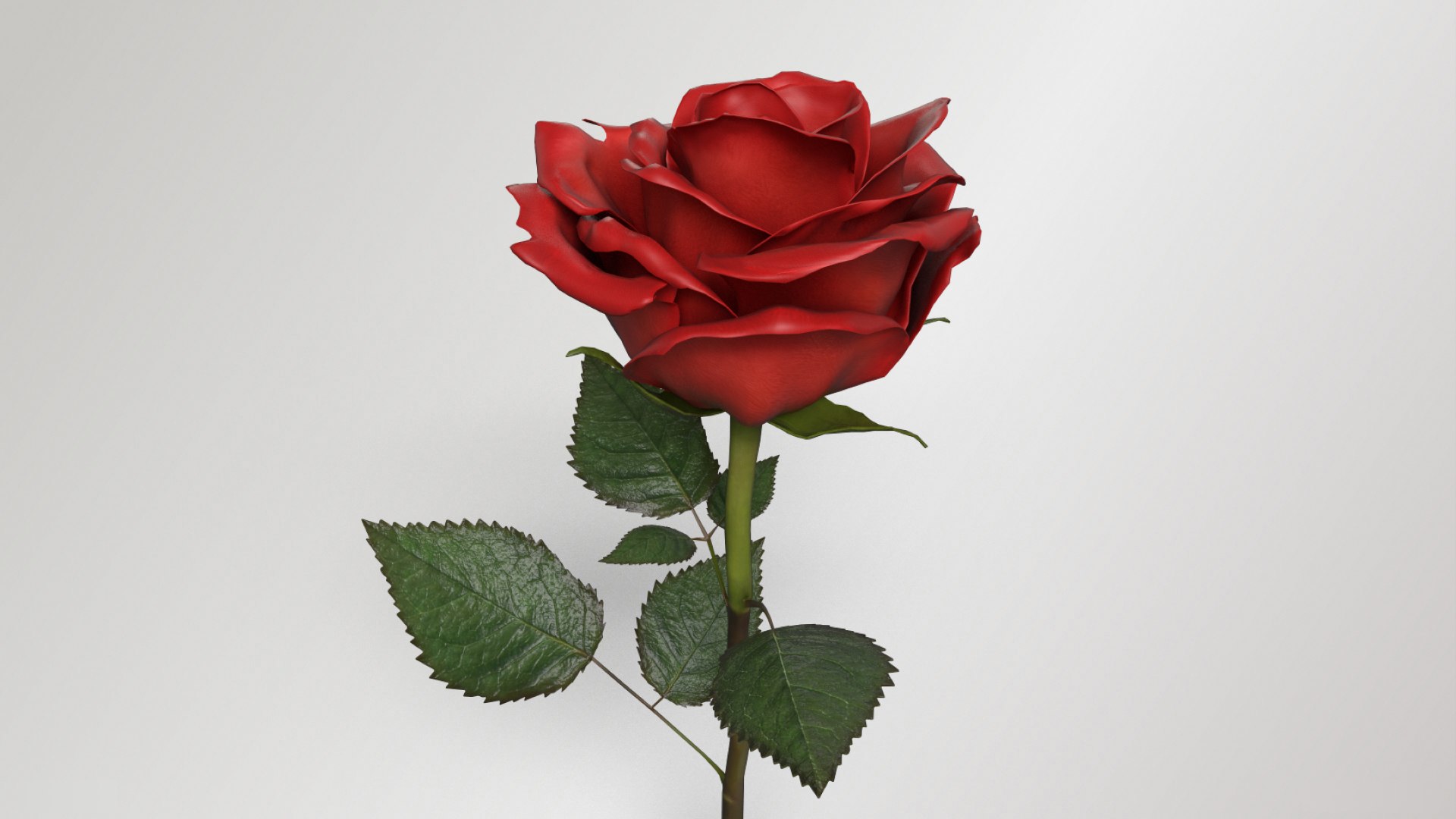 3D Single Red Rose - TurboSquid 2276728