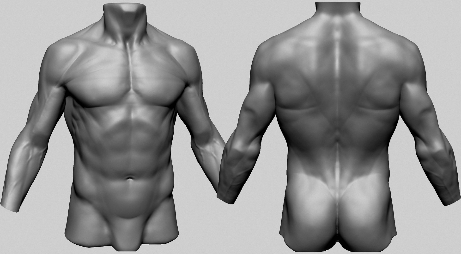 3D Male Torso C - TurboSquid 2206349