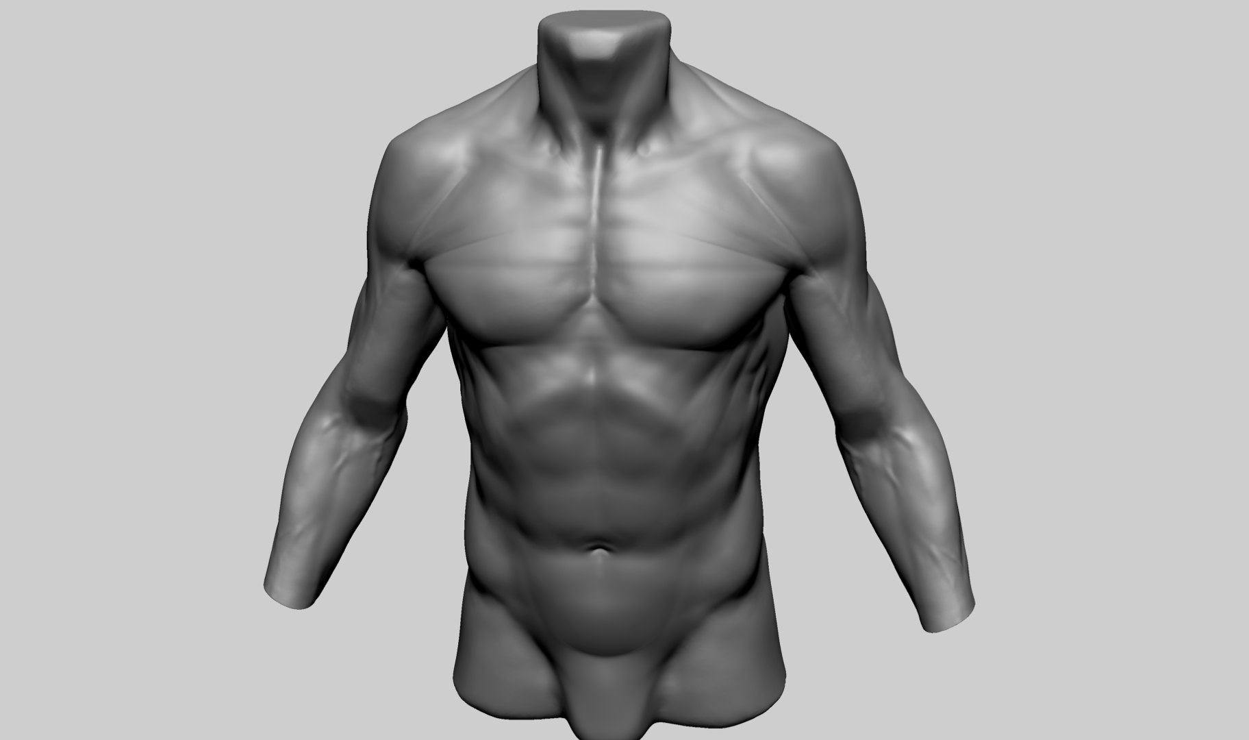 3D Male Torso C - TurboSquid 2206349
