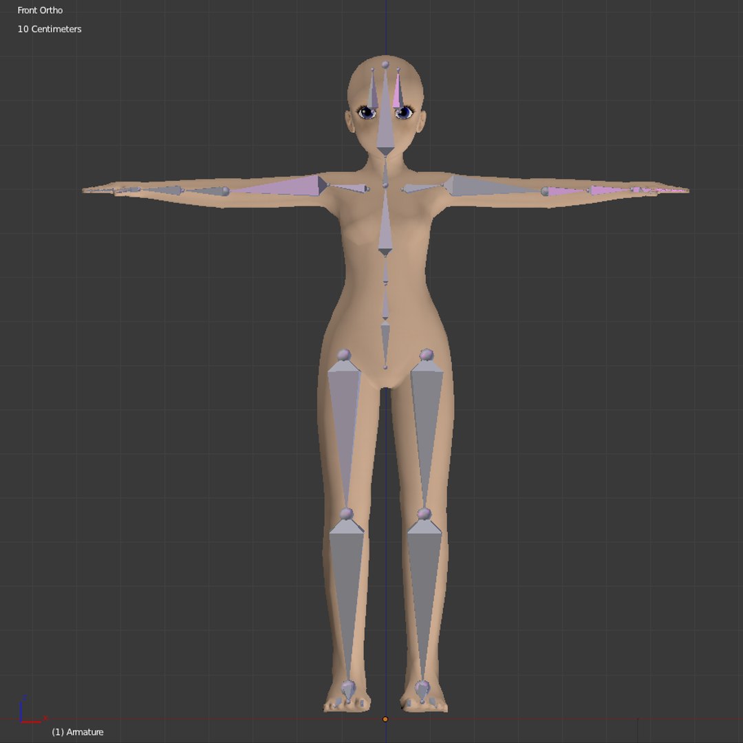 tween girl x free https://p.turbosquid.com/ts-thumb/uw/26ykj0/4RKid20o/frontskeleton/png/1296249488/1920x1080/fit_q87/3987981fd58e2fdee0bf9fcfeca5831f7fffe2cd/frontskeleton.jpg
