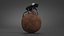Dung Beetle on Dung Ball