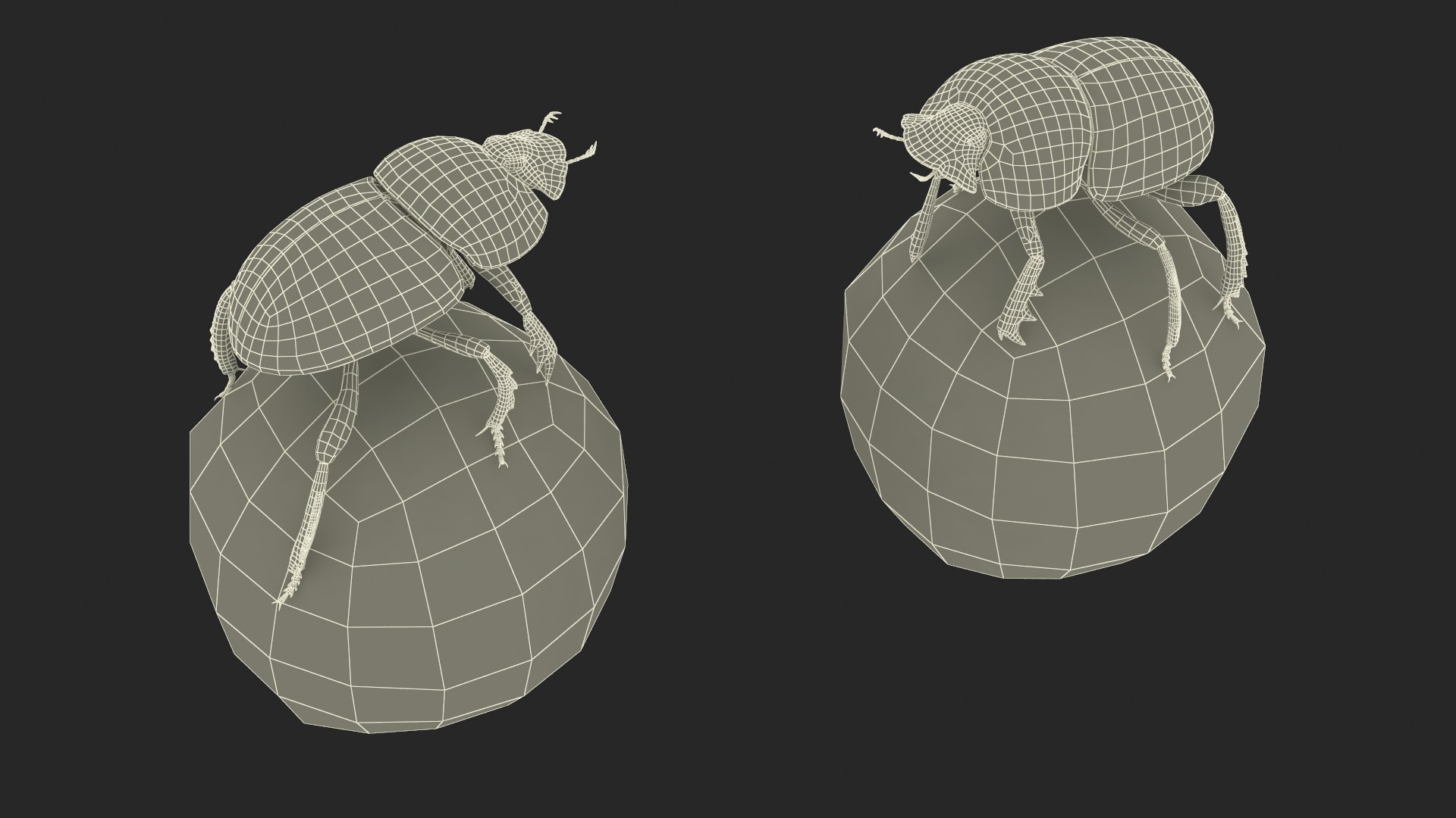 Dung Beetle on Dung Ball model https://p.turbosquid.com/ts-thumb/uw/B5U3T9/ER/dungbeetleondungball3dsmodel019/jpg/1729912035/1920x1080/fit_q87/b77184a5c489d0bffb6027ec21e5e017ddaea096/dungbeetleondungball3dsmodel019.jpg