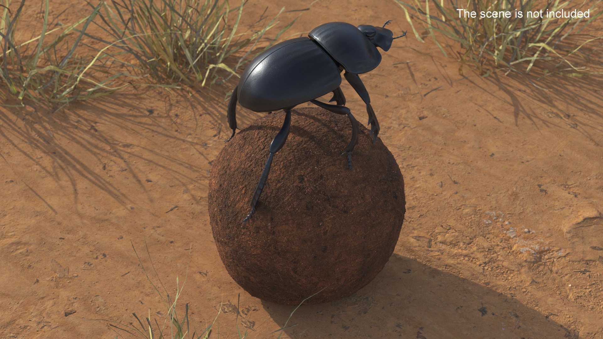 Dung Beetle on Dung Ball model https://p.turbosquid.com/ts-thumb/uw/B5U3T9/RJ/dungbeetleondungball3dsmodel003/jpg/1729911923/1920x1080/fit_q87/b56606e52f52084f43030724cbd1f58c9b525b81/dungbeetleondungball3dsmodel003.jpg