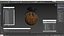 Dung Beetle on Dung Ball