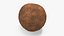 Dung Beetle on Dung Ball