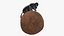 Dung Beetle on Dung Ball