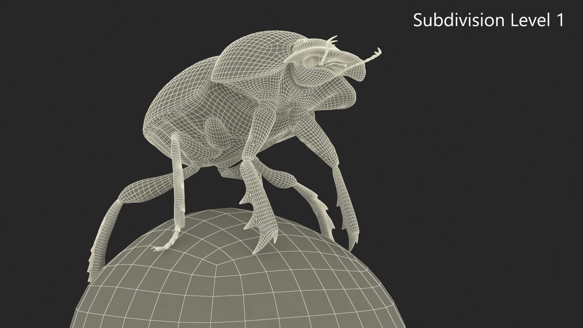 Dung Beetle on Dung Ball model https://p.turbosquid.com/ts-thumb/uw/B5U3T9/dx/dungbeetleondungball3dsmodel013/jpg/1729911992/1920x1080/fit_q87/7eb6e36a334ed006ab9215bbc3b6fa819c201170/dungbeetleondungball3dsmodel013.jpg