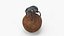 Dung Beetle on Dung Ball