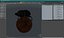 Dung Beetle on Dung Ball