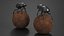 Dung Beetle on Dung Ball