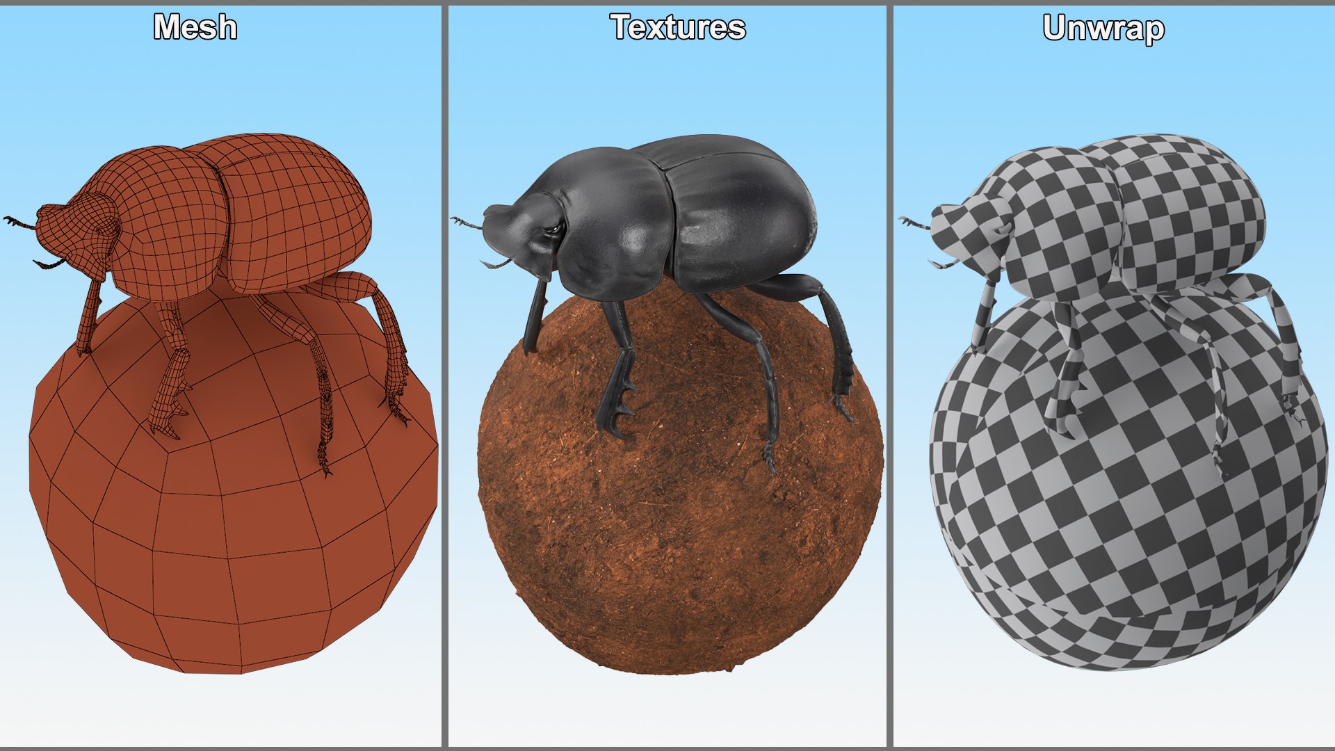 Dung Beetle on Dung Ball model https://p.turbosquid.com/ts-thumb/uw/B5U3T9/pZ/dungbeetleondungball3dsmodel011/jpg/1729911978/1920x1080/fit_q87/98de7092d5534903621e57b3e2cdfa9b548d77f3/dungbeetleondungball3dsmodel011.jpg