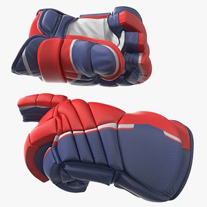 Hockey Protective Gloves Rigged