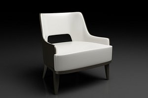 Salon Chair