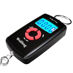 3D model electronic scale