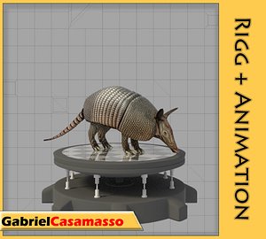 Armadillo
