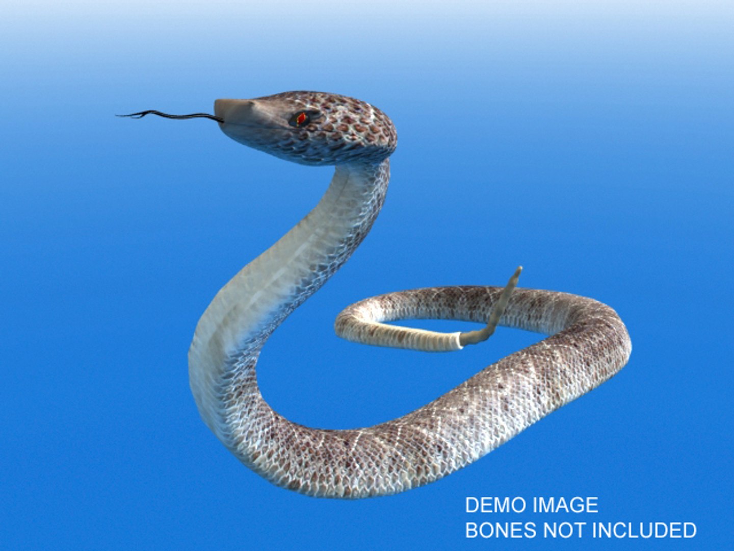3d Model Rattlesnake Snakes