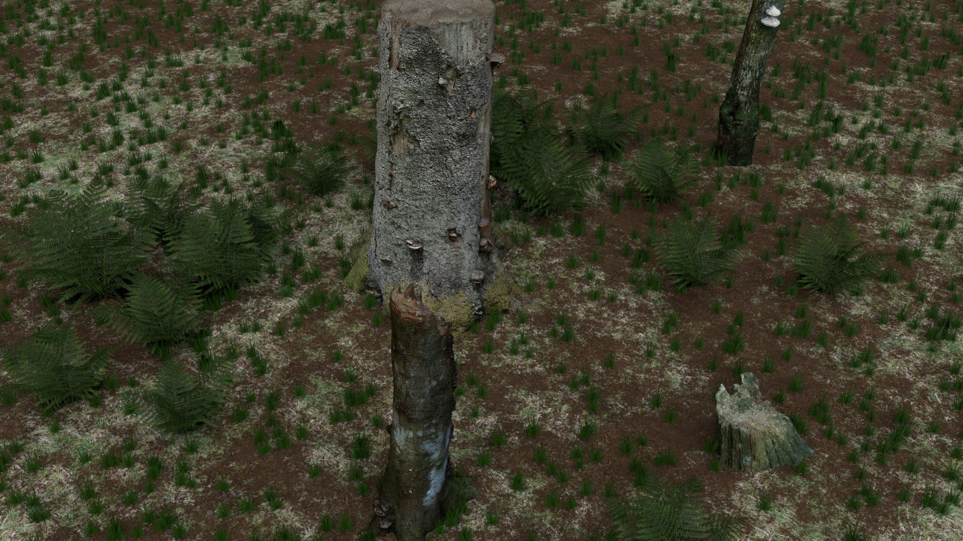 pack stumps 3D model https://p.turbosquid.com/ts-thumb/uw/dq6mbM/2BdjiVNk/0002/png/1528595022/1920x1080/fit_q87/3f85cc330aa5705aca68fec955e76304111c8475/0002.jpg