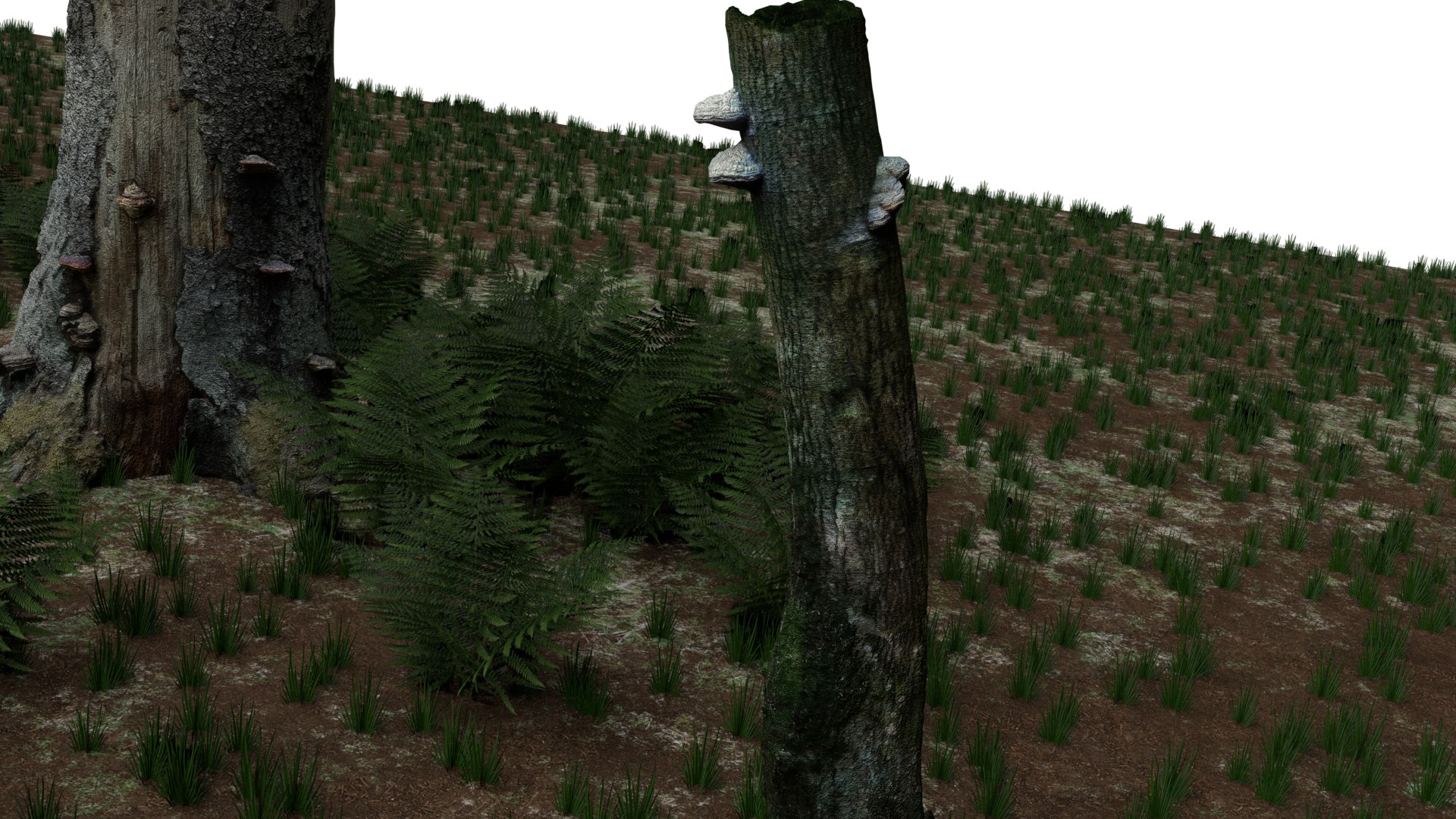 pack stumps 3D model https://p.turbosquid.com/ts-thumb/uw/dq6mbM/9zP2ddrQ/0011/png/1528595189/1920x1080/fit_q87/721bf39e56f041c25f865e66b0093c088345d7eb/0011.jpg