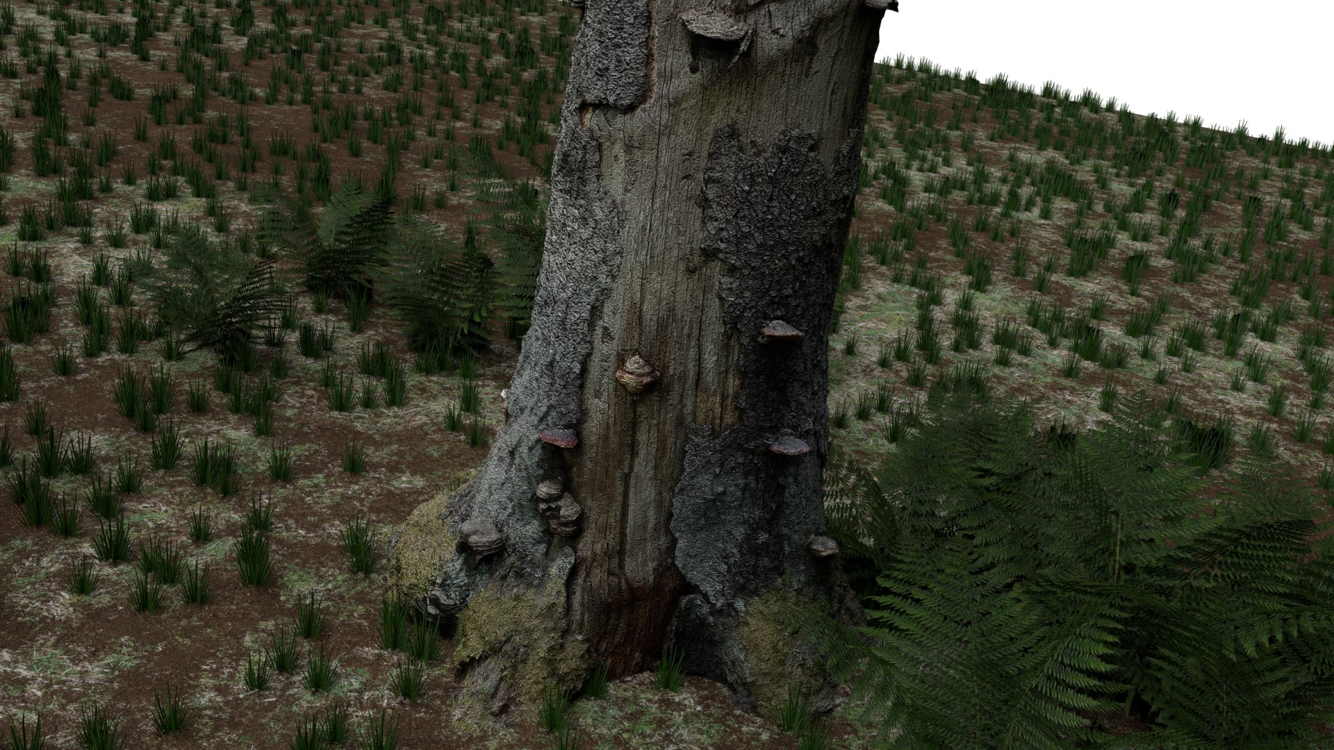pack stumps 3D model https://p.turbosquid.com/ts-thumb/uw/dq6mbM/FAGHcjJm/0018/png/1528595301/1920x1080/fit_q87/79765d1604fec3a5b034dfe83d733d64a11ad309/0018.jpg
